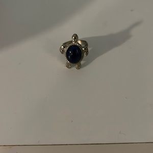 Color changing turtle mood ring!